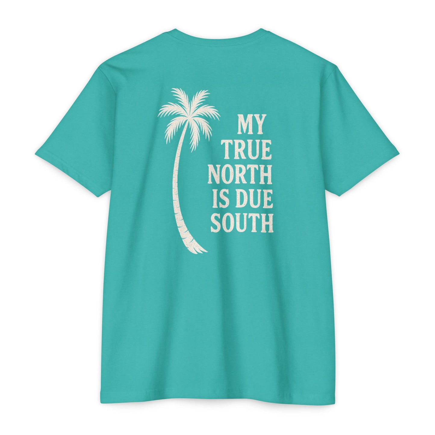 My True North Is Due South