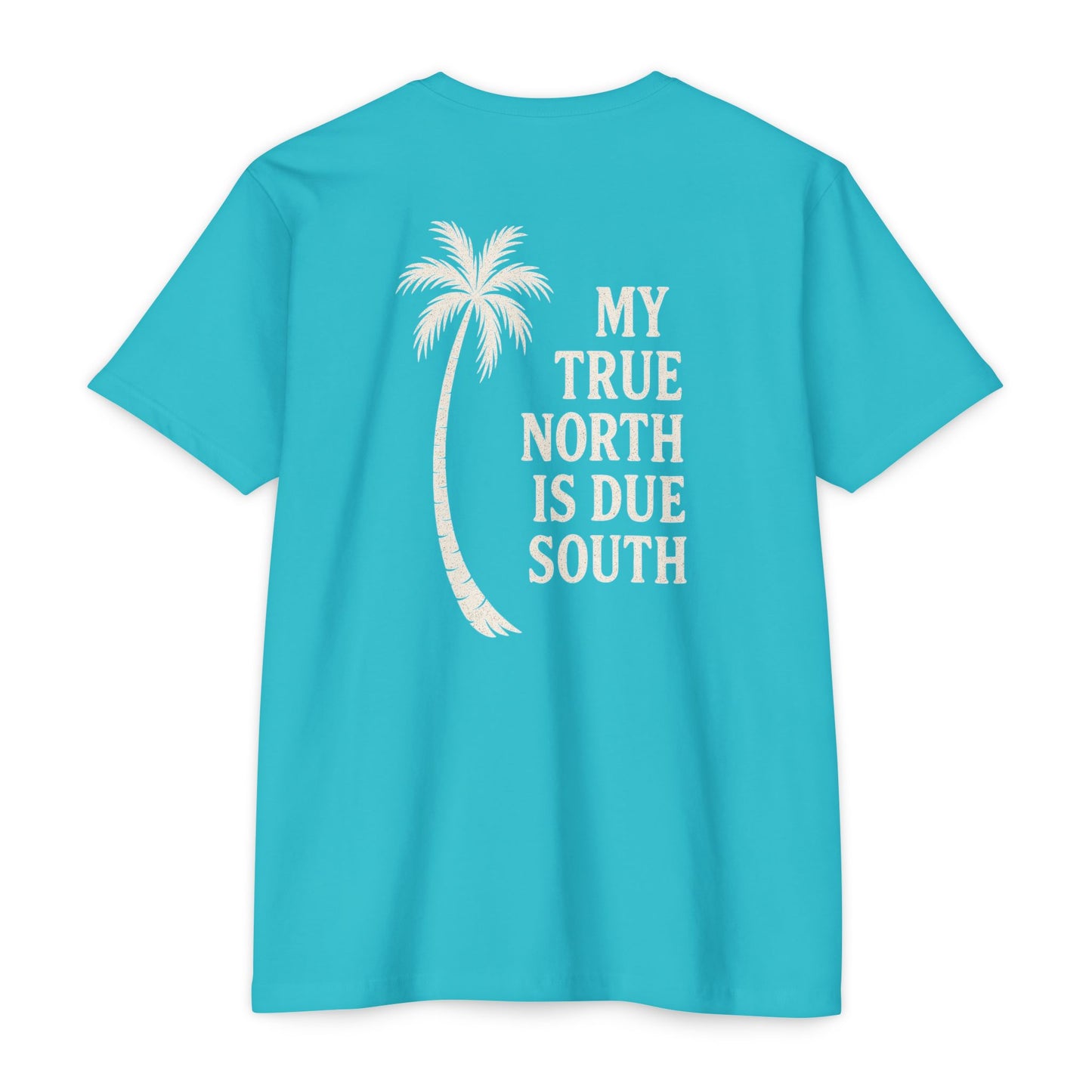 My True North Is Due South